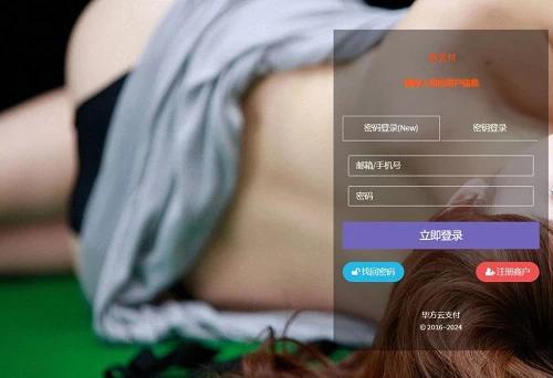 二开的前端模板美化基于易支付源码 去授权版